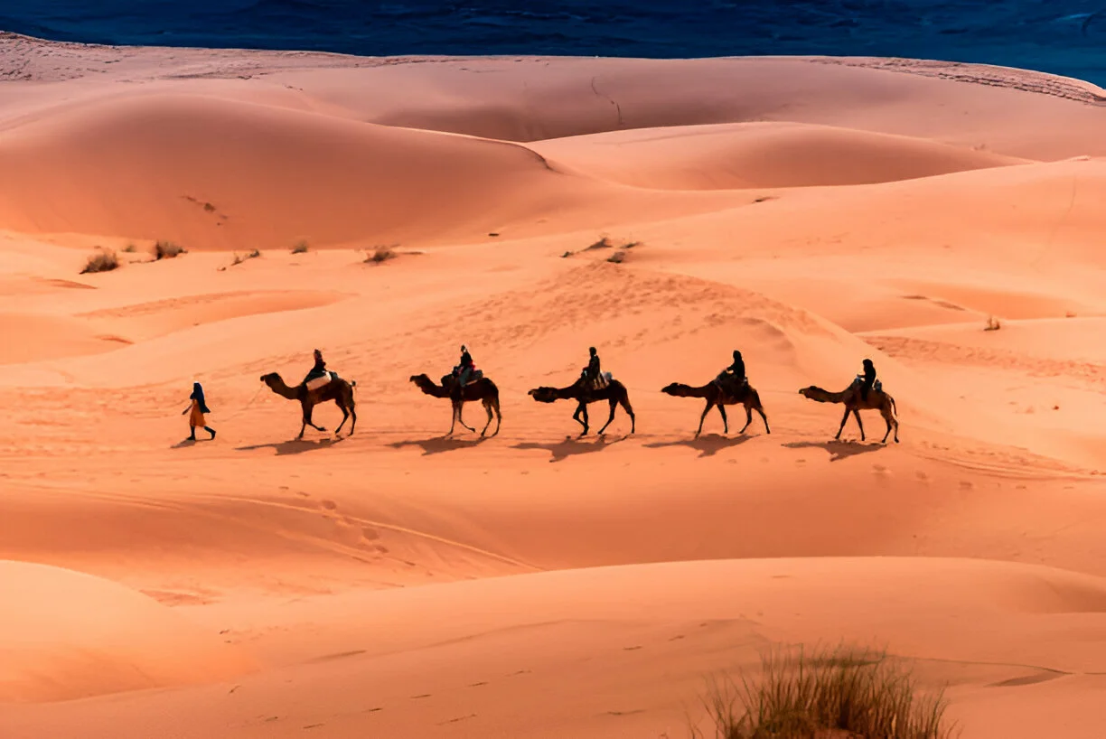 2 Days Desert Tour From Ouarzazate to Merzouga