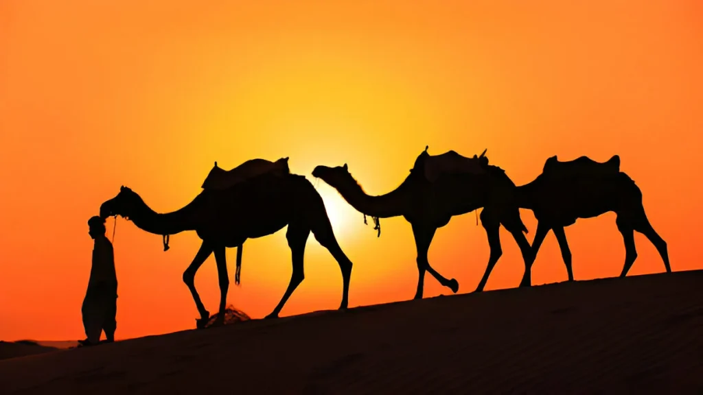 Complete Sahara Desert Guide: Merzouga vs. Agafay